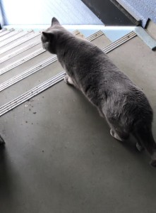 7EBD6C13-7BEE-4405-8F9B-4AD8C0F11B29