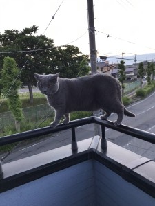 A38FFC7E-0726-43C5-9791-FC468886AE8F