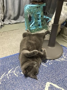 0BB02A73-F33D-4099-8DAF-9B0EA5DC96EF