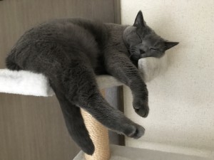 190E1FFD-E1BC-44D5-A4E9-90481910E4A7