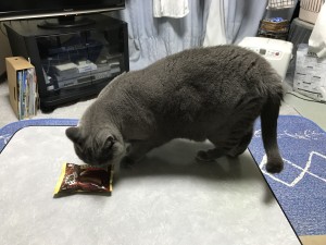 329B581D-9991-480D-A450-6C8BF3B35458