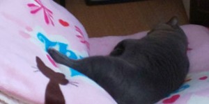 6B3993CD-69E1-49A0-A5A4-19BF04104D7C