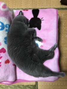 BBB766AD-B4A3-4365-B0AF-0694F2B4134F