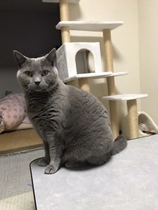 F01FCE5B-658B-4363-89D8-7F9F159508C9