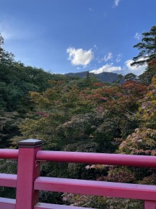 1EE078E4-B4D7-40D9-A9D2-93DD81072748