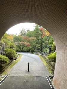 F6507F4D-5183-4618-9CED-E1E68C842290