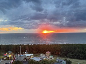 88A684F6-0F48-4A4B-845B-CF12CF5EFE58