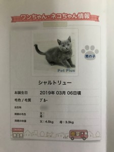 01F10F1E-F3C2-484C-9D06-8B78FE7715FA