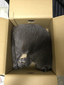 2B4B2BFE-E930-460F-9386-07DC90996960