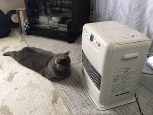 3E25B9AB-EBC9-49A9-96BF-F11C8C190DE3