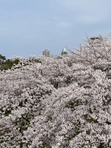 594CDCE8-7AA8-4A5D-AFBE-DDAB7FB04985