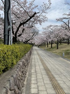 744611FB-6903-425E-9703-1C4FA5605400