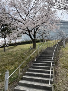 74DFA0FC-E222-4556-A601-1739F9189282