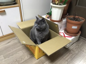 8A2DFF06-8026-40FC-ABCC-4CFE8E2136BC