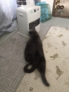 941E2D88-53BA-4474-9A41-C40BF4D19A7A