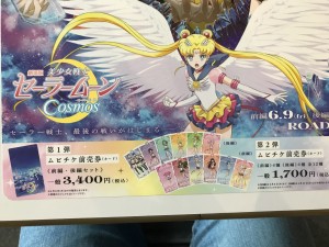 8A9EFF8A-1965-4A8A-8D68-F76D69E3854B