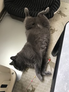 0B48C7F0-72A5-4EB4-A804-3503DEAAD32C