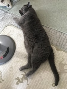 1B459B99-61F4-4B70-9511-830B00CB06DE