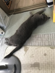 3D0F9B70-DB68-4A42-945F-35EBB8198AD5