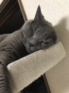 4A4B8F35-F5FF-40DD-BF69-0B0366337AE0