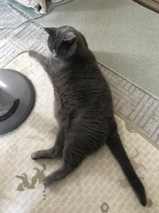 7F21CBB1-0369-4C79-BE76-D30648B5D994