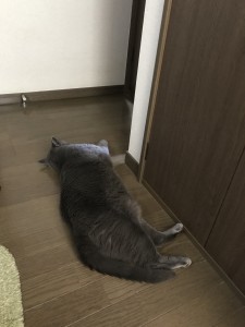 E80ADEE3-3034-4654-9813-E2795E181D2F