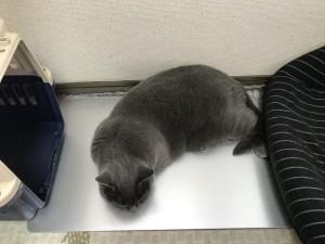 ECA77F39-109D-46AF-B844-F42B4979DA5B